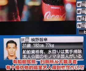 中日韩赛鸽比赛视频直播,云端竞技，速度与激情的较量