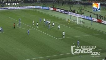 日韩世界杯介绍视频大全,激情岁月，足球传奇