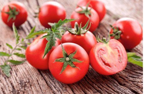 无码番茄在线,揭秘数字世界的绿色乐园